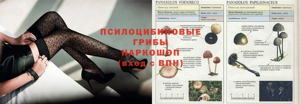 амф Абинск