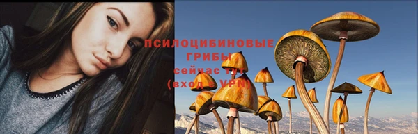 прущие крисы Абдулино