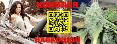 таблы Будённовск