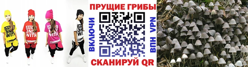 Псилоцибиновые грибы Magic Shrooms  Людиново 