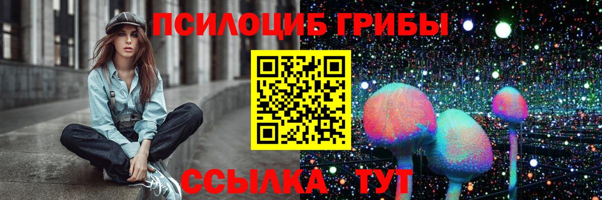 Людиново  Псилоцибиновые грибы MAGIC MUSHROOMS  Вход с VPN 